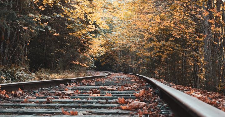 Railway Signalling - Eye-level Photo of Train Tracks Surrounded With Trees