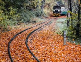 Greener Railways: Integrating Clean Energy and Train Technology