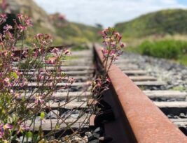 Railroad Workers: The Backbone of the Tracks