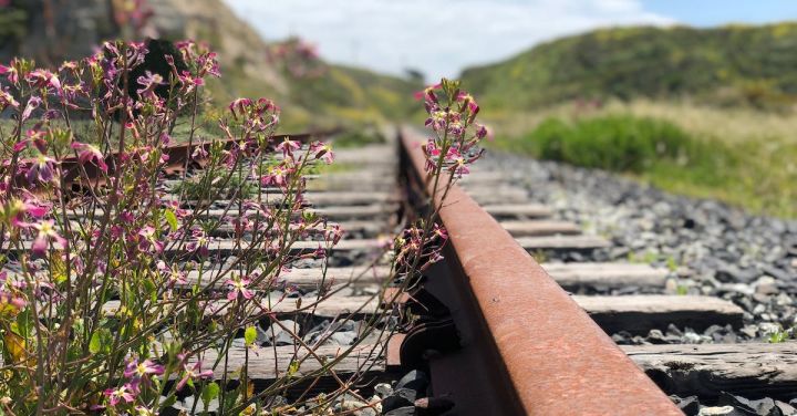 Railroad - Shallow Focus Photography of Railroad