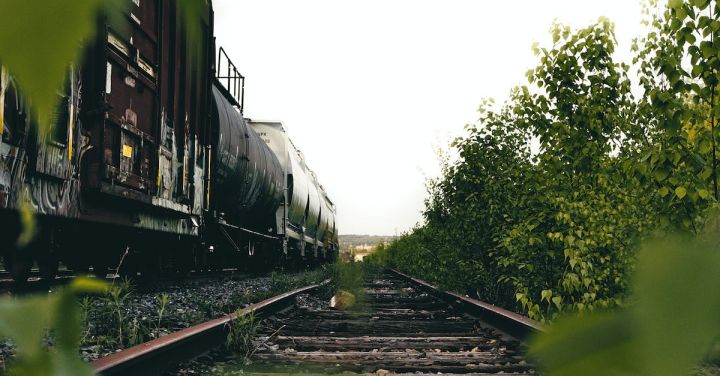 Locomotive Engineers - Photo of Brown Train Railways Besides Green Plants