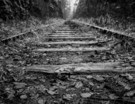 The Hidden Perils of the Railroaders’ Life